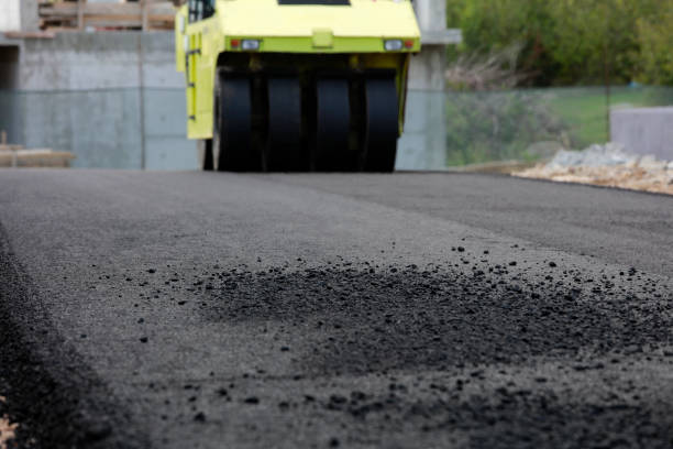 Best Custom Driveway Pavers  in Indian River, MI